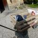 France Photo:  #58